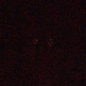 Meet your Posher, Roberta